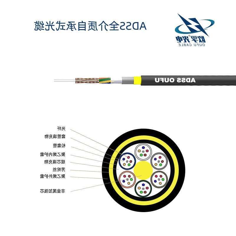 阜阳市双护套层绞式ADSS光缆