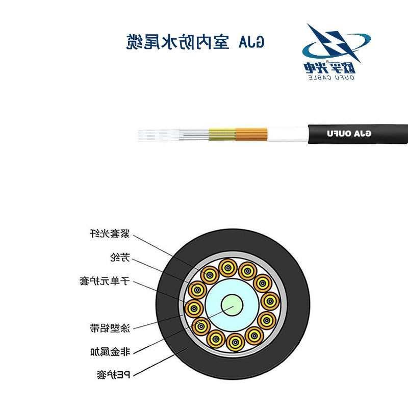 绍兴市GJA防水尾缆