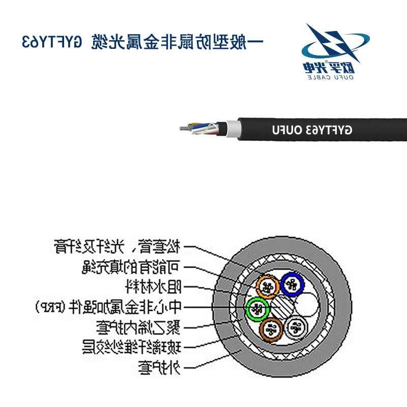 黄南藏族自治州防鼠咬GYFTY63光缆